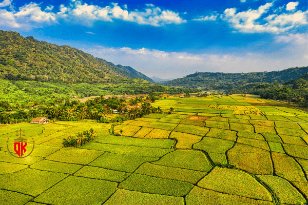 xay dung chuong trai tren dat nong nghiep