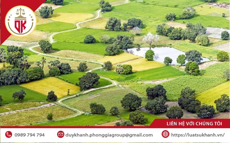 QUY ĐỊNH VỀ XÂY DỰNG CHUỒNG TRẠI TRÊN ĐẤT NÔNG NGHIỆP NĂM 2026 3 xay dung chuong trai tren dat nong nghiep