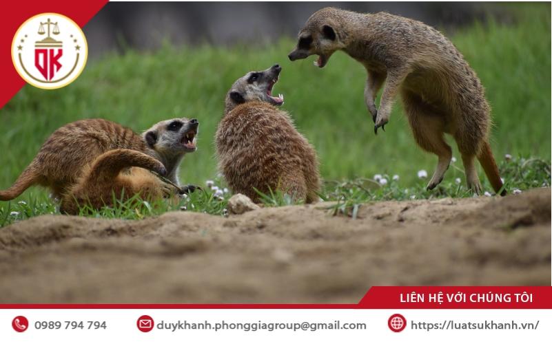 CHUYỂN QUYỀN SỬ DỤNG ĐẤT 2 chuyen-nhuong-dat-dai